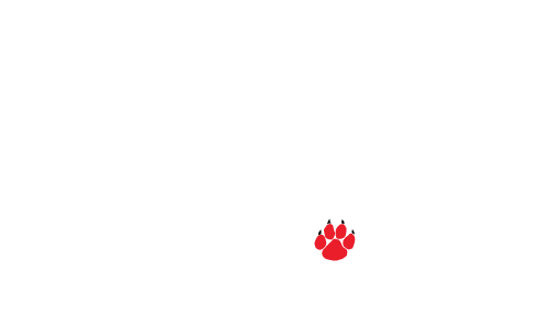 Katamount