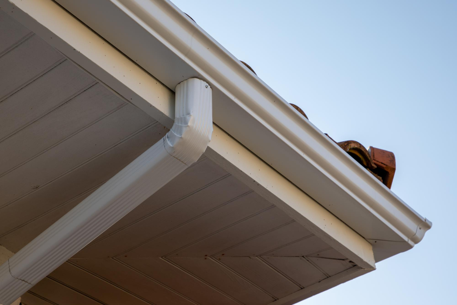 Gutter Cleaning & Maintenance