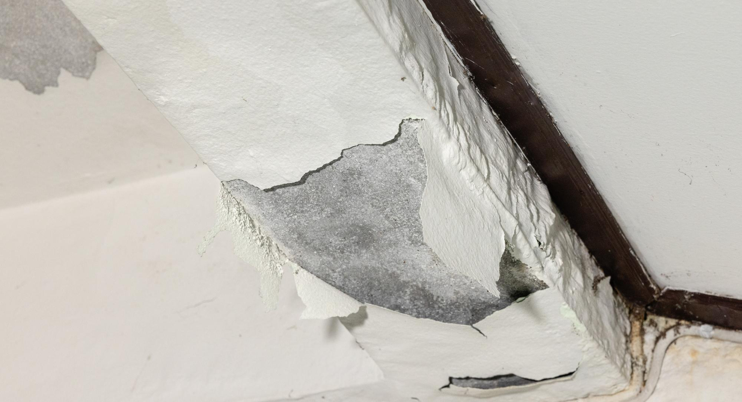 Repairs for Cracks, Warping, & Storm Damage